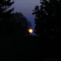 /album/galerie-de-photos-galerie-photos/frida-dumont-img-9046-jpg/